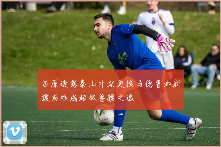 苗原透露泰山计划更换马德鲁加新援或难成超级兽腰之选